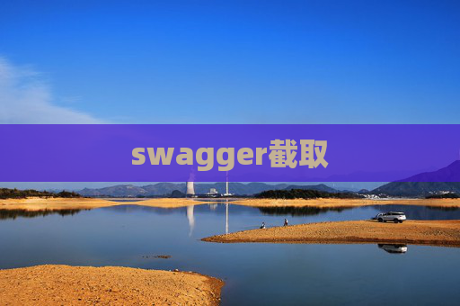 swagger截取